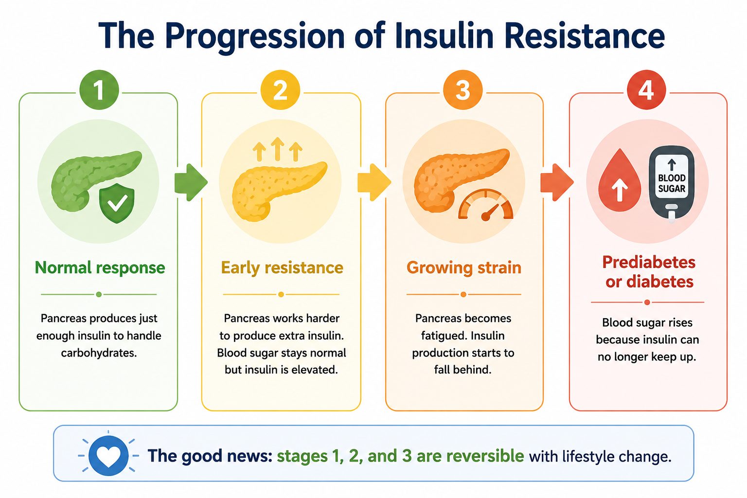 diagram showing how insulin resistance in teens develops from normal insulin response to overworked pancreas and prediabetes