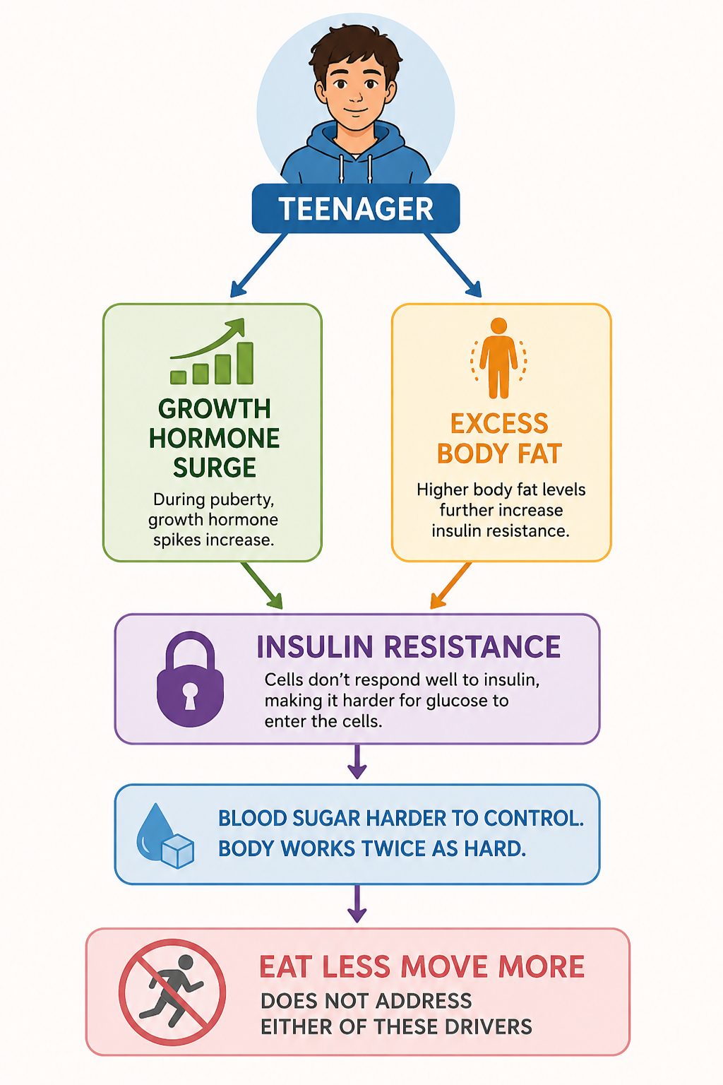 diagram showing how puberty hormones cause insulin resistance making eat less move more advice ineffective for teenagers